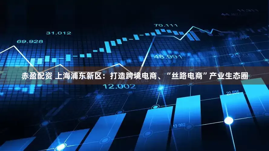 赤盈配资 上海浦东新区：打造跨境电商、“丝路电商”产业生态圈